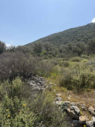 Image No.3-Terre à vendre à Agios Nikolaos