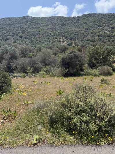 Image No.4-Terre à vendre à Agios Nikolaos