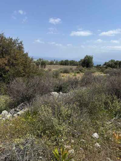 Image No.7-Terre à vendre à Agios Nikolaos