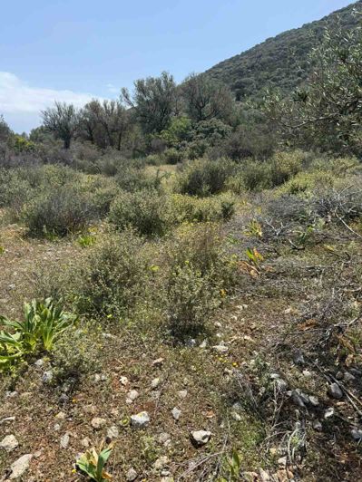 Image No.8-Terre à vendre à Agios Nikolaos