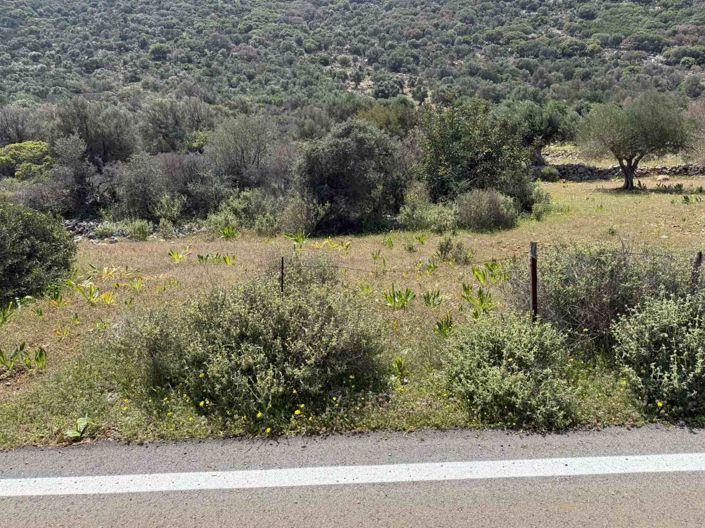 Image No.9-Terre à vendre à Agios Nikolaos