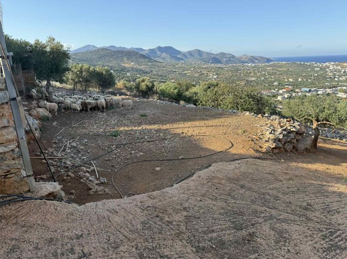 Image No.13-Terre à vendre à Agios Nikolaos