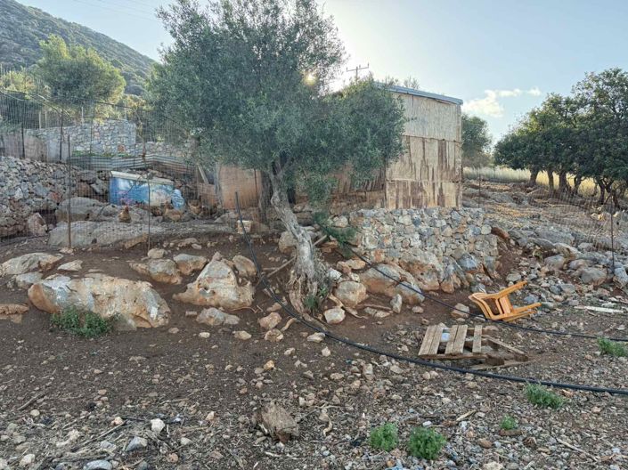 Image No.15-Terre à vendre à Agios Nikolaos