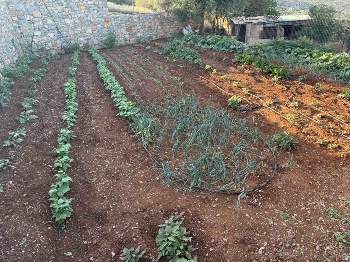 Image No.3-Terre à vendre à Agios Nikolaos