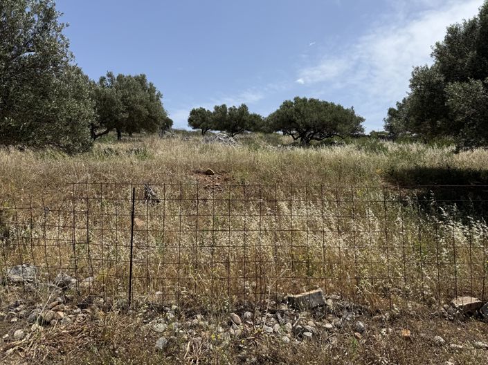 Image No.2-Terre à vendre à Epano Pines