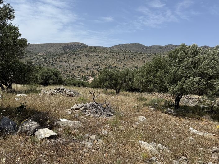 Image No.4-Terre à vendre à Epano Pines