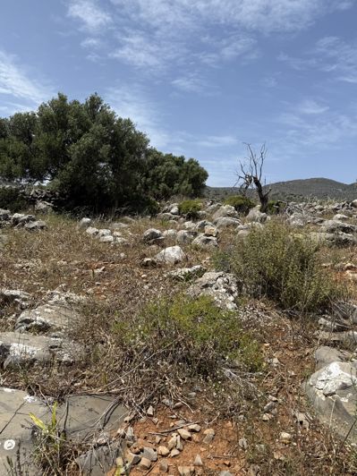 Image No.5-Terre à vendre à Epano Pines