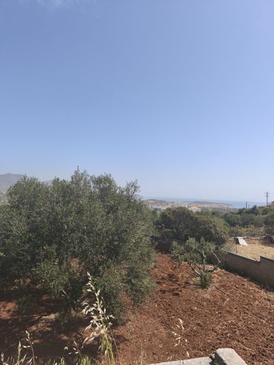 Image No.14-Terre à vendre à Agios Nikolaos