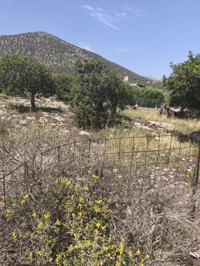 Image No.3-Terre à vendre à Agios Nikolaos
