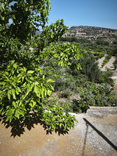 Image No.11-Maison à vendre à Kalo Chorio