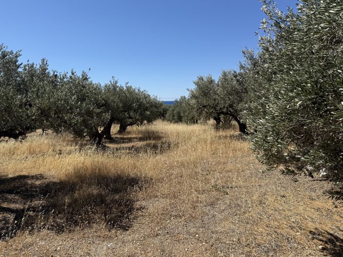 Image No.6-Propriété à vendre à Ierapetra