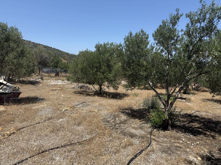 Image No.5-Land for sale