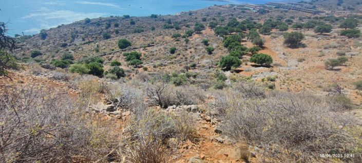 Image No.15-Terre à vendre à Elounda