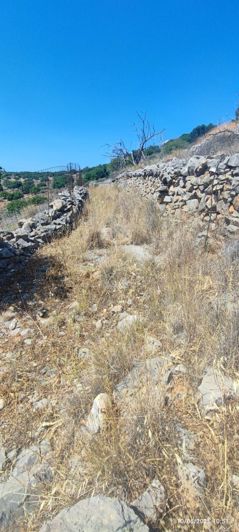 Image No.16-Terre à vendre à Elounda