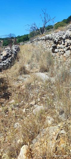 Image No.17-Terre à vendre à Elounda