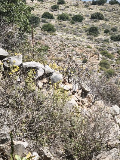 Image No.5-Terre à vendre à Elounda