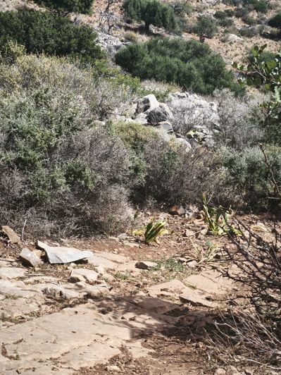 Image No.8-Terre à vendre à Elounda