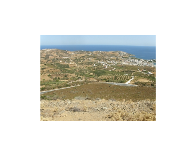 Image No.3-Terre à vendre à Agia Pelagia