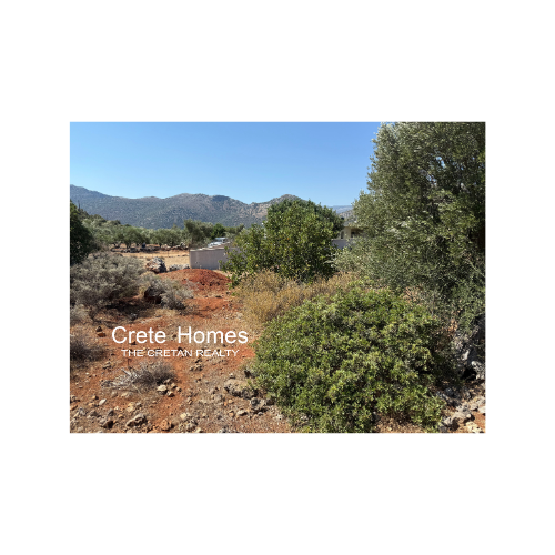 Image No.10-Terre à vendre à Exo Lakkonia