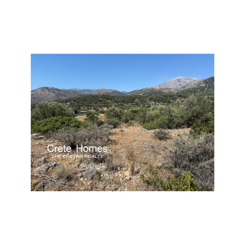 Image No.11-Terre à vendre à Exo Lakkonia