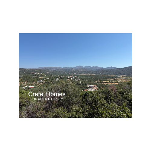 Image No.13-Terre à vendre à Exo Lakkonia