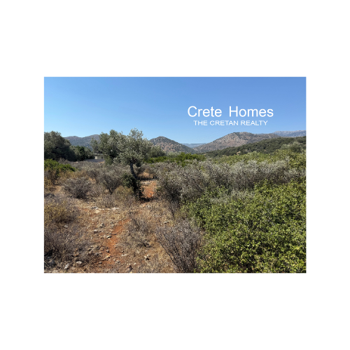 Image No.18-Terre à vendre à Exo Lakkonia