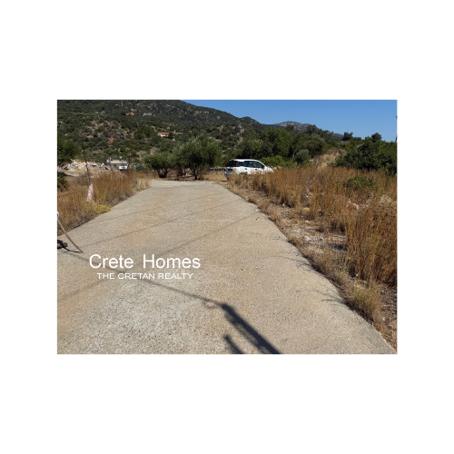 Image No.2-Terre à vendre à Exo Lakkonia