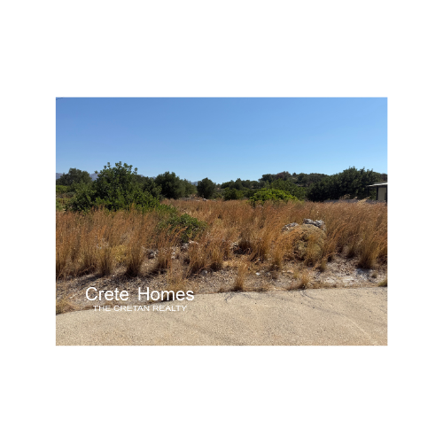 Image No.4-Terre à vendre à Exo Lakkonia