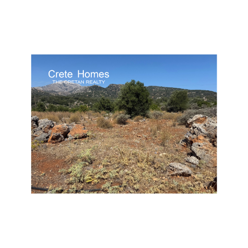 Image No.5-Terre à vendre à Exo Lakkonia