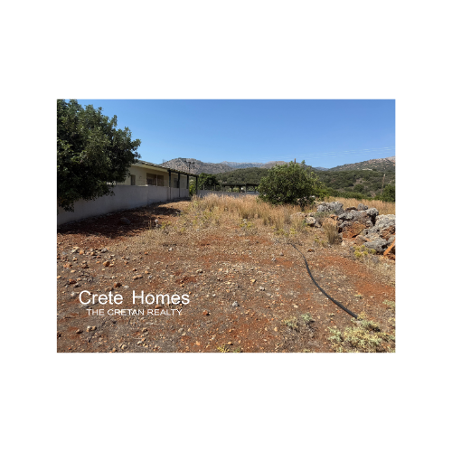 Image No.6-Terre à vendre à Exo Lakkonia