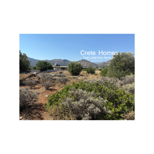 Image No.8-Terre à vendre à Exo Lakkonia