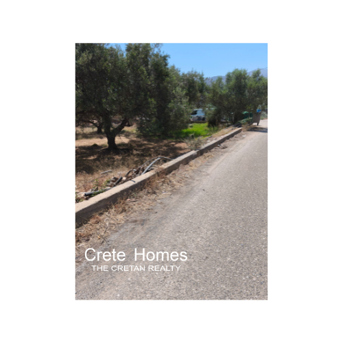 Image No.10-Terre à vendre à Sissi