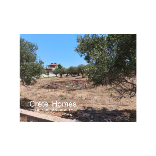 Image No.5-Terre à vendre à Sissi