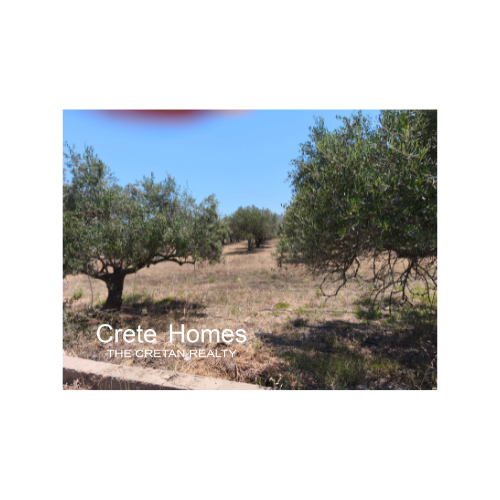 Image No.6-Terre à vendre à Sissi