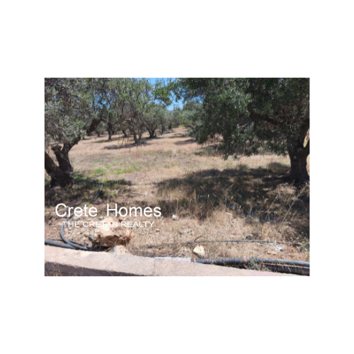 Image No.8-Terre à vendre à Sissi