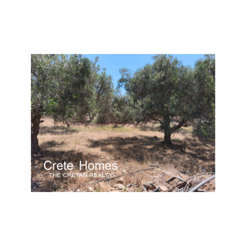 Image No.9-Terre à vendre à Sissi