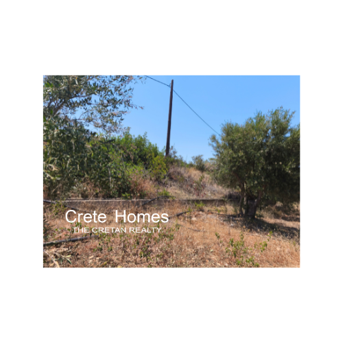 Image No.10-Terre à vendre à Sissi