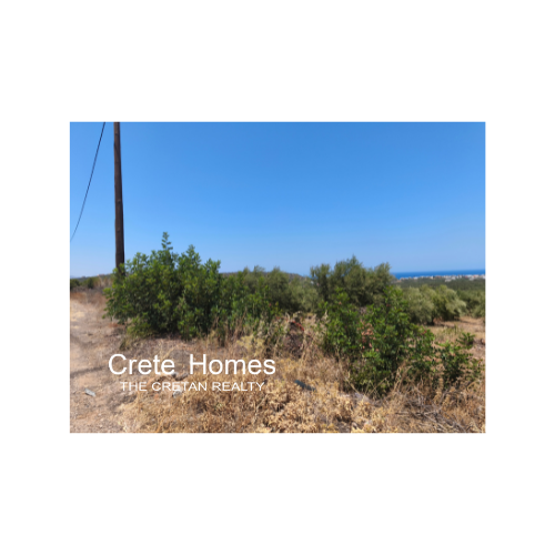 Image No.13-Terre à vendre à Sissi