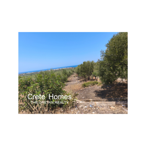 Image No.14-Terre à vendre à Sissi