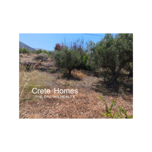 Image No.4-Terre à vendre à Sissi