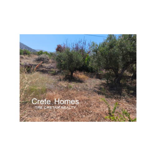 Image No.6-Terre à vendre à Sissi