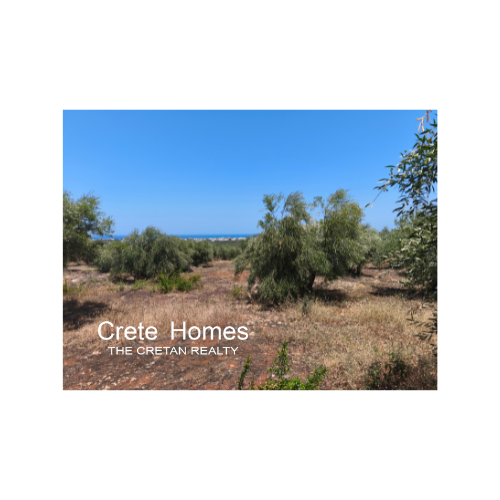 Image No.7-Terre à vendre à Sissi