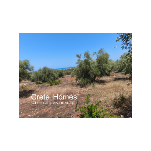 Image No.9-Terre à vendre à Sissi