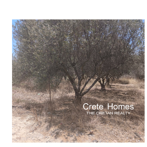 Image No.3-Terre à vendre à New Alikarnassos