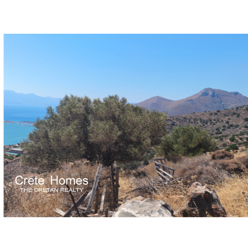 Image No.8-Terre à vendre à Epano Pines