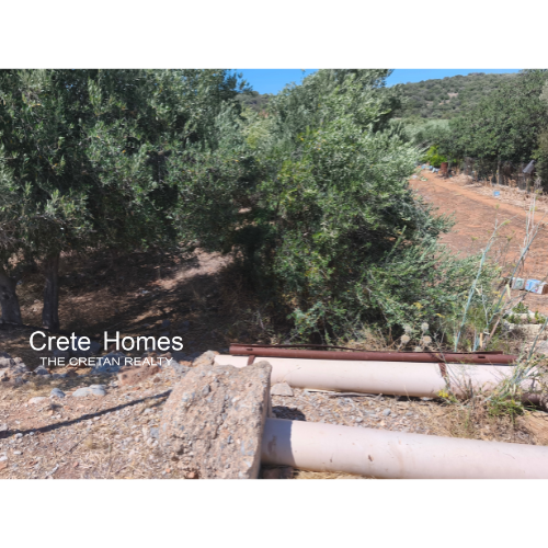 Image No.6-Land for sale