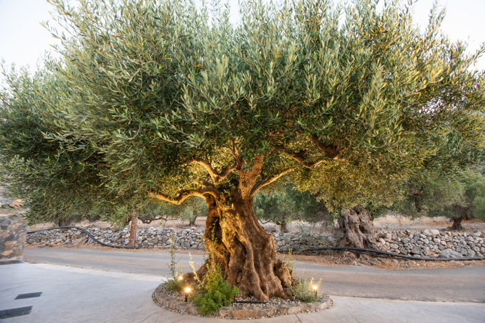 Image No.28-3 Bed Villa for sale