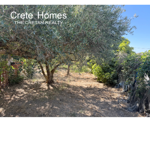 Image No.19-1 Bed House for sale