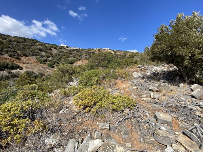 Image No.19-Terre à vendre à Agios Nikolaos