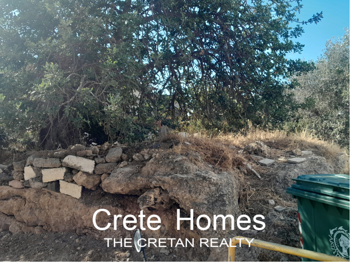 Image No.4-Land for sale